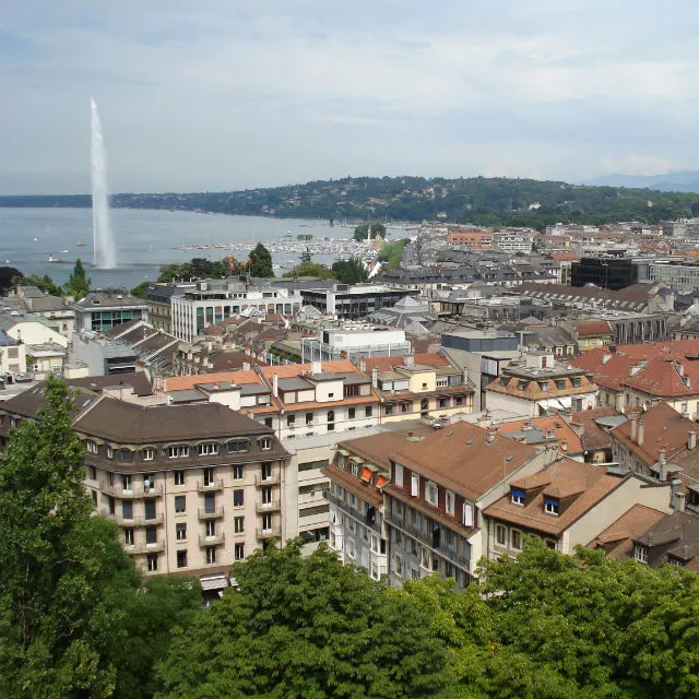 Custom Walk in Geneva, Switzerland