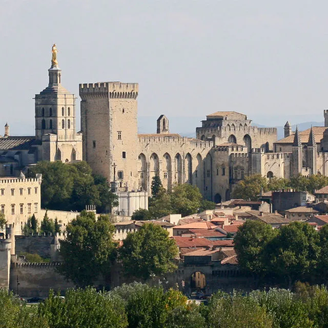Custom Walk in Avignon, France