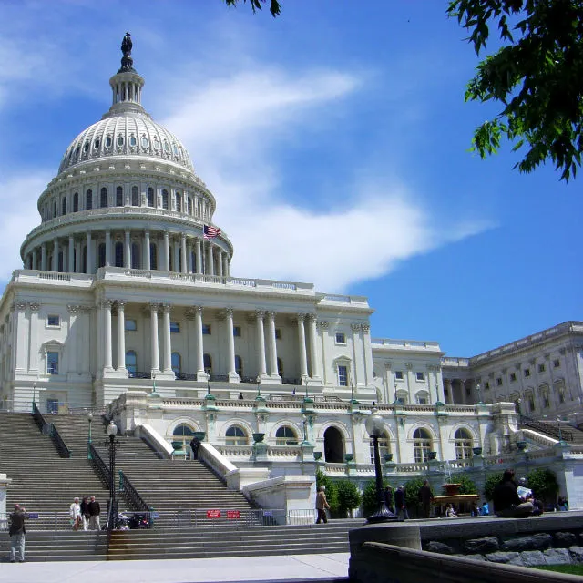 Custom Walk in Washington D.C., USA