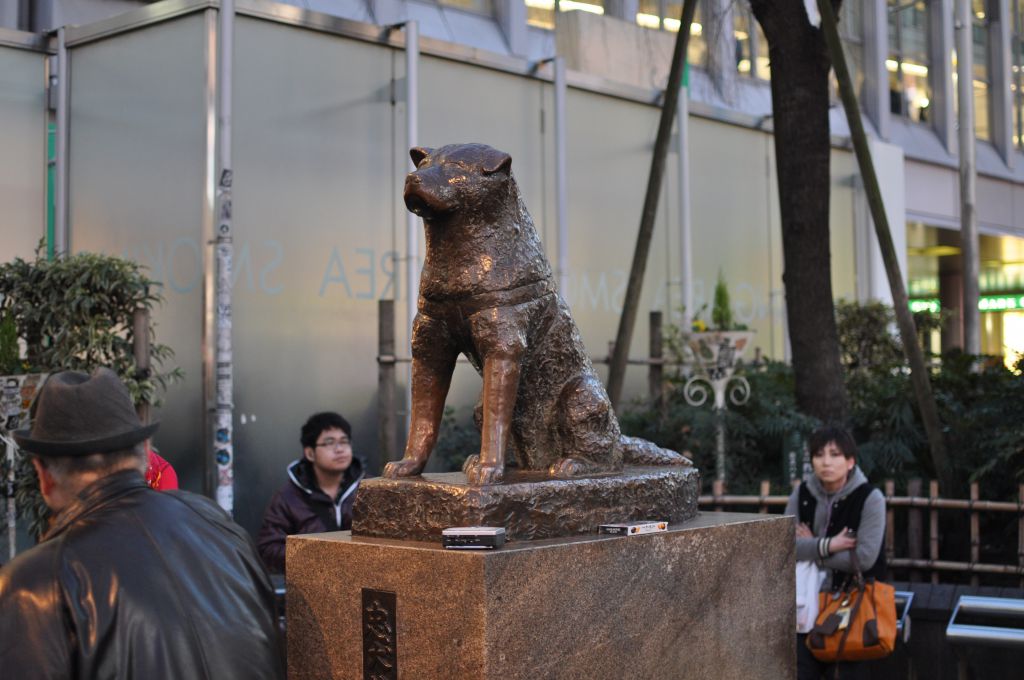 Хатико в каком городе. Памятник Хатико в Токио. Сибуя Токио статуя Хатико. Станция Сибуя Хатико. Бронзовая статуя Хатико.