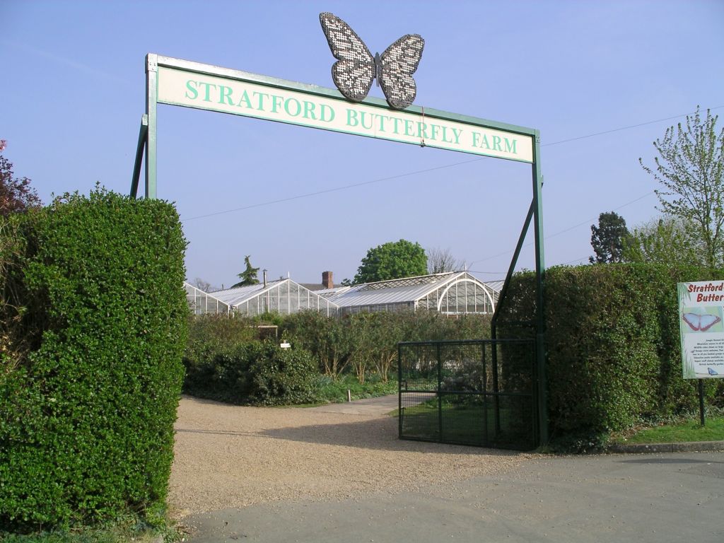 Butterfly Farm, StratforduponAvon