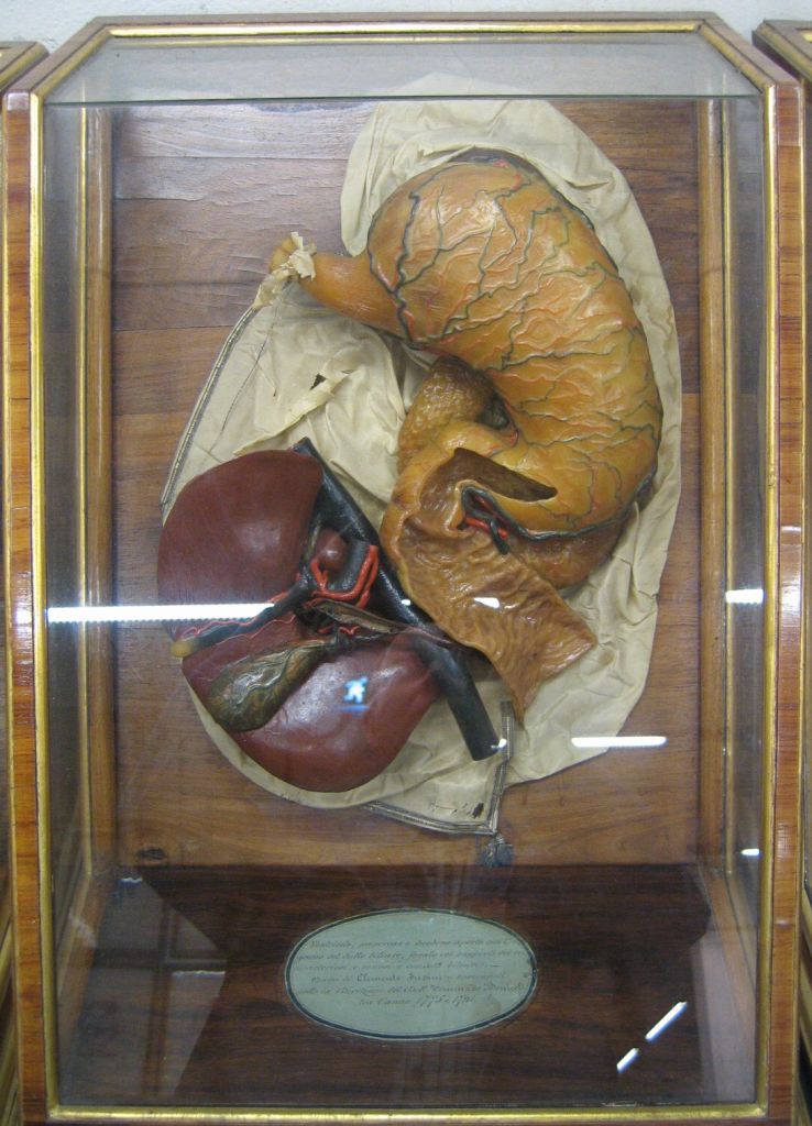 Luigi Cattaneo Wax Museum, Bologna