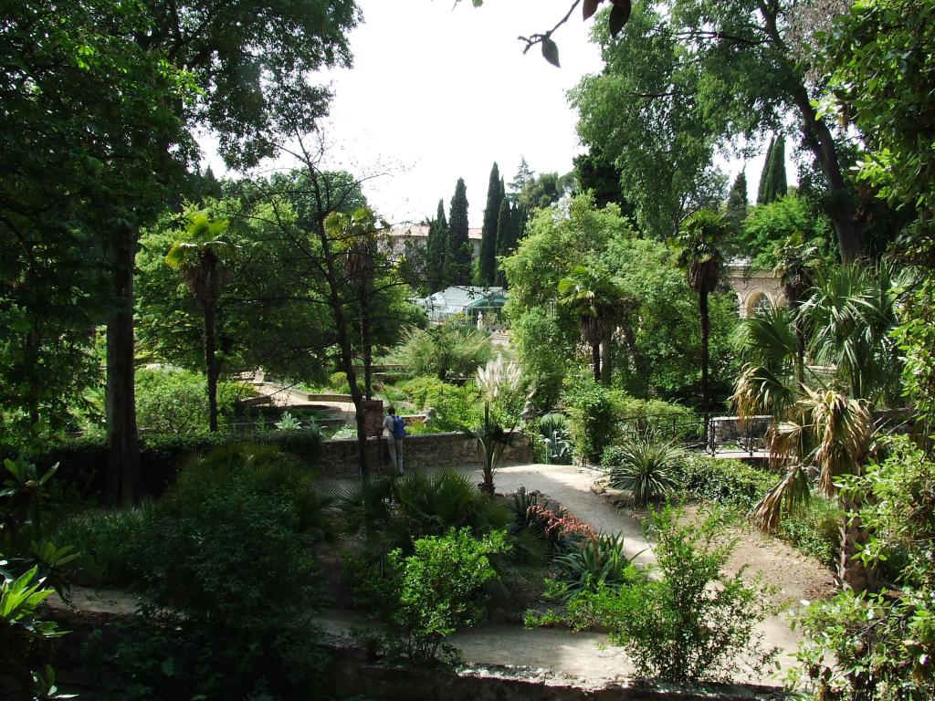 Plant Garden, Montpellier