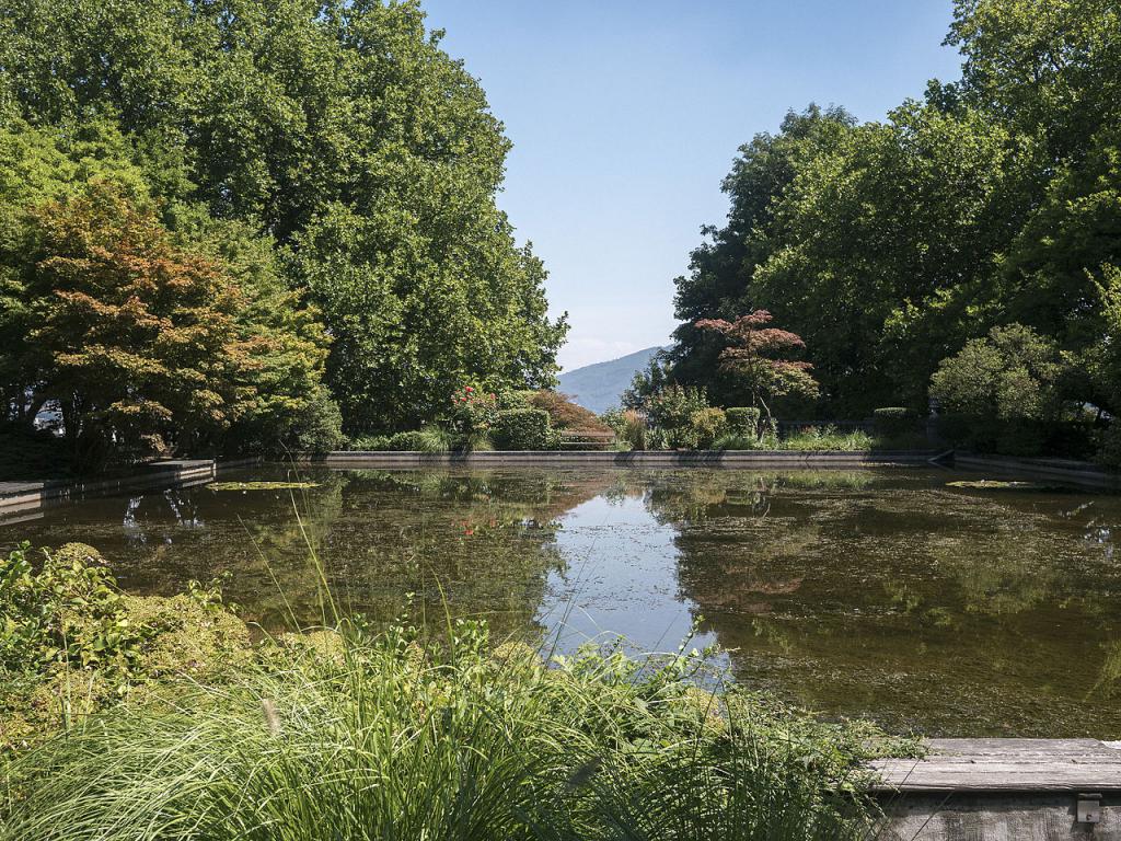 Botanical Garden, Linz