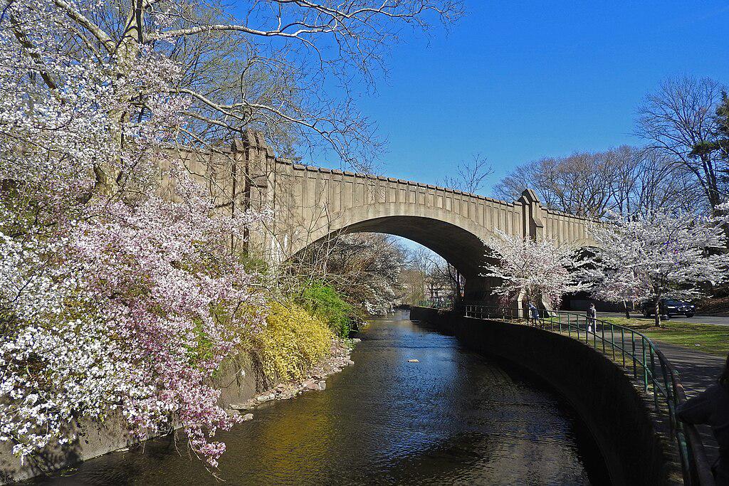Branch Brook Park, Newark