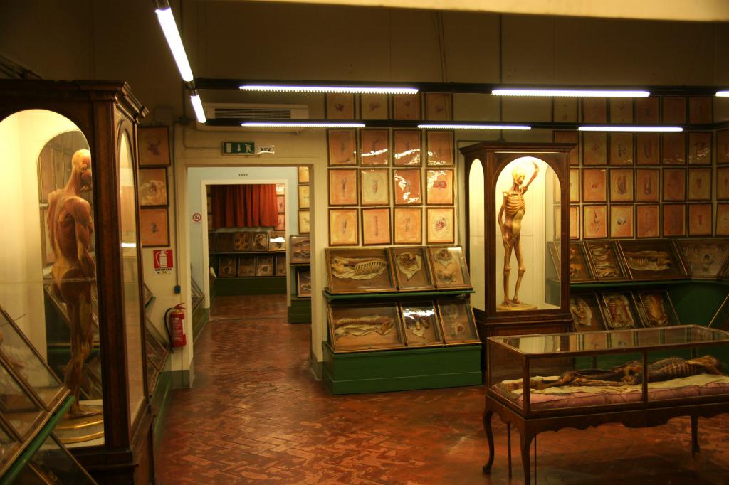 La Specola, Florence