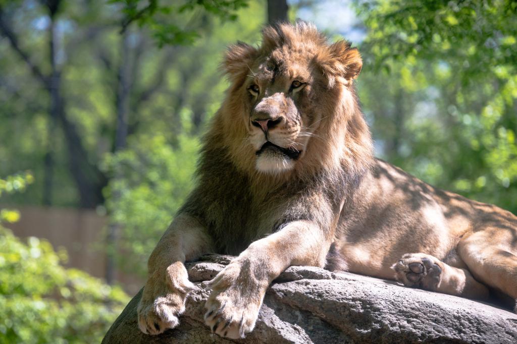 Henry Vilas Zoo, Madison