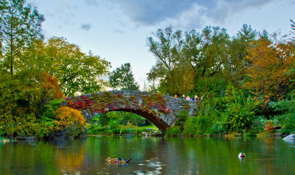 Gapstow Bridge and The Pond, New York