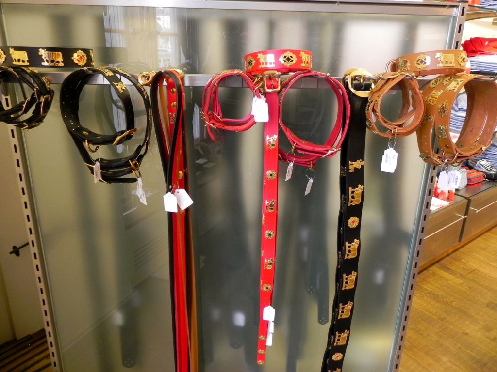 House of Dogs, Zurich