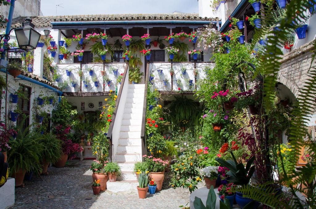 Patios de Cordoba (Cordoba Cortyards) and San Basilio Patio 44, Cordoba