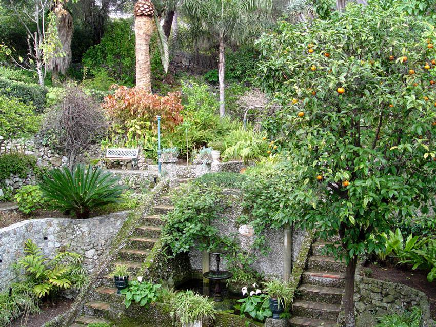 Gibraltar Botanic Gardens, Gibraltar