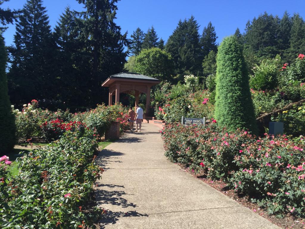 Rose Test International Rose Test Garden, Portland