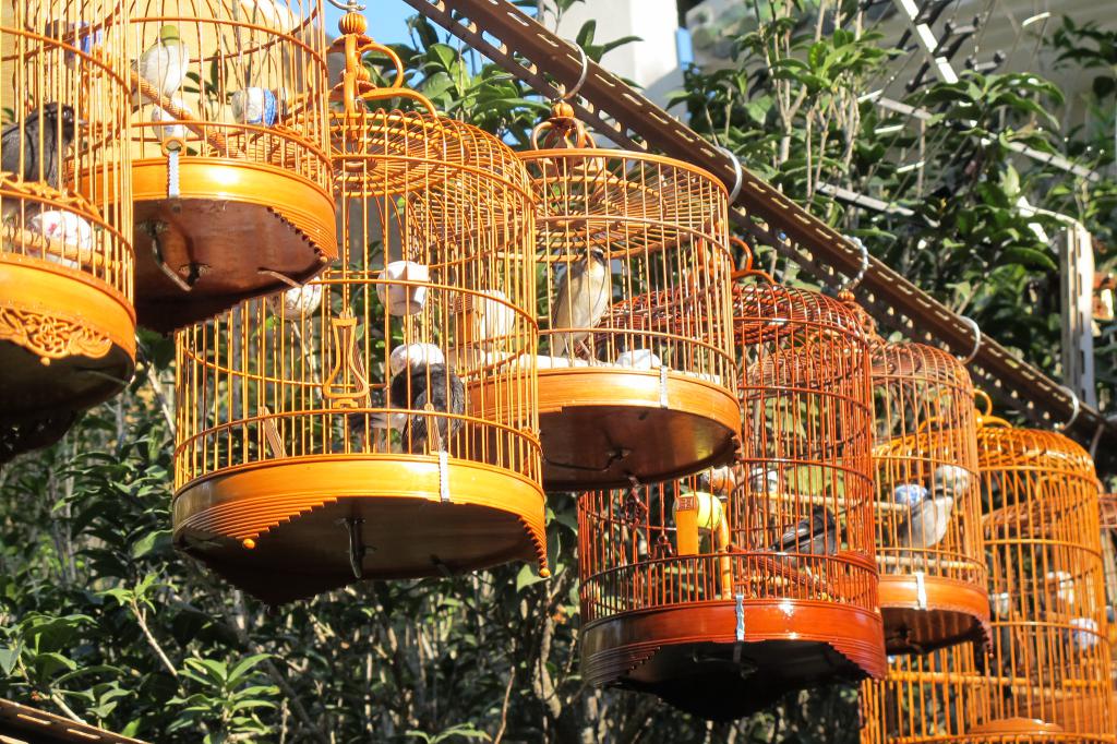 Bird Market, Hong Kong