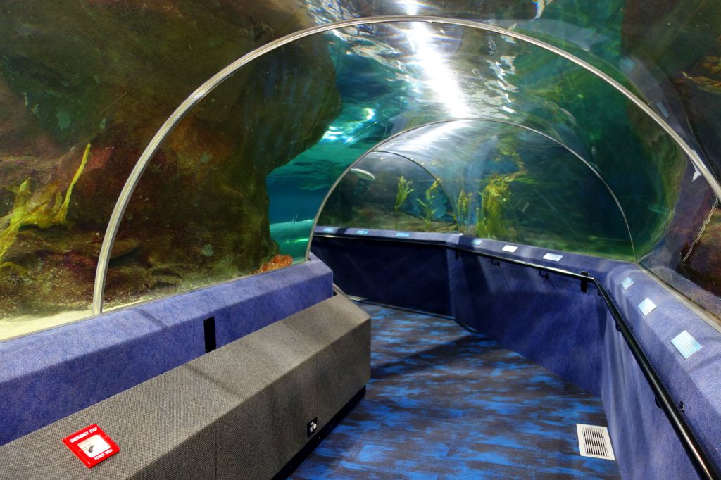 National Aquarium of New Zealand, Napier