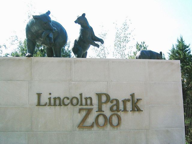 A Walk in Lincoln Park: Discover this free park & zoo